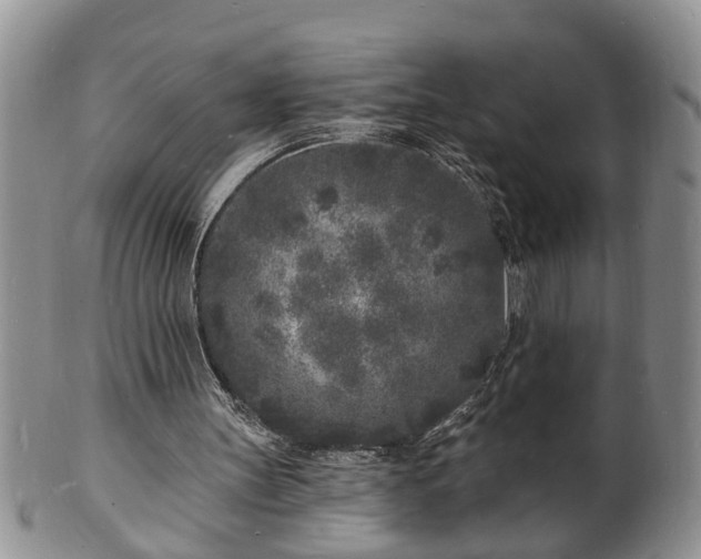 X0000102220147200808011210