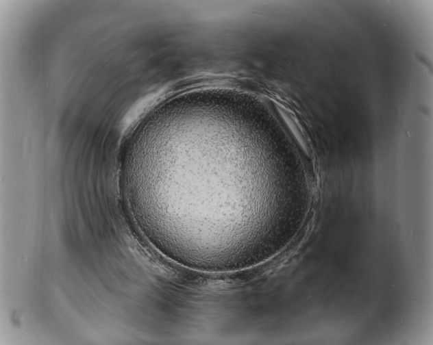 X0000102220149200808011210