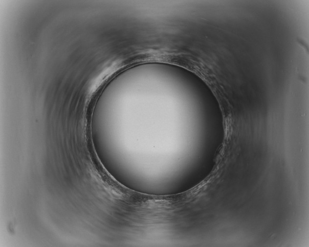 X0000102220150200808011210