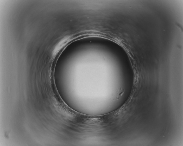 X0000102220151200808011210