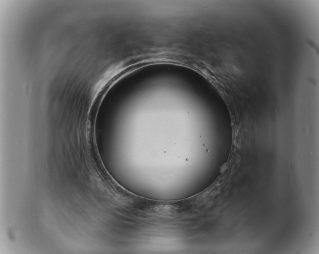 X0000102220152200808011210