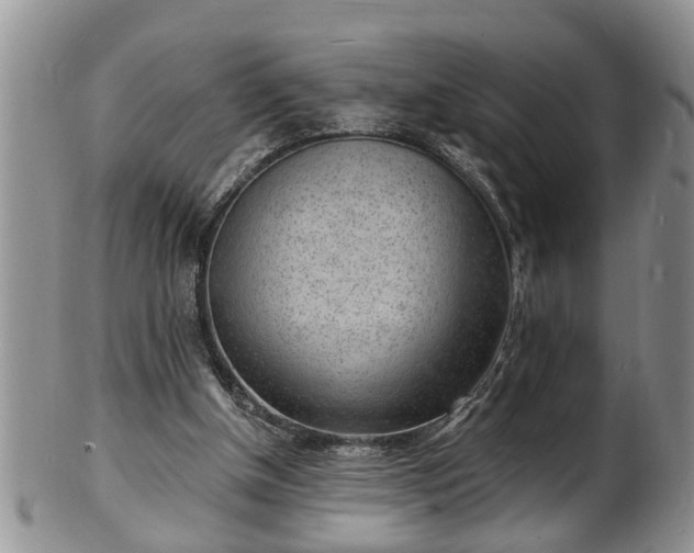 X0000102220154200808011210