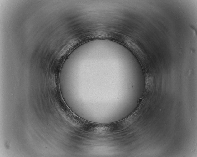 X0000102220158200808011210