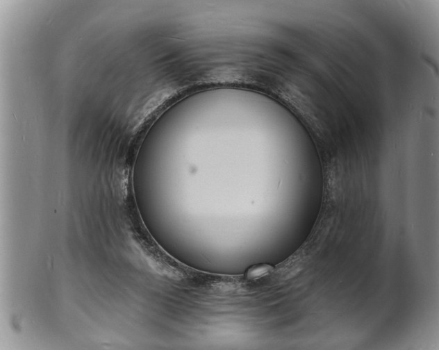 X0000102220160200808011210