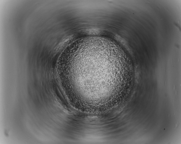 X0000102220161200808011210