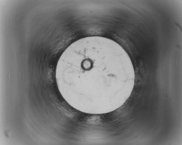 X0000102220162200808011210