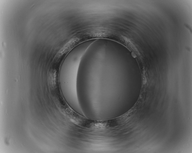 X0000102220163200808011210