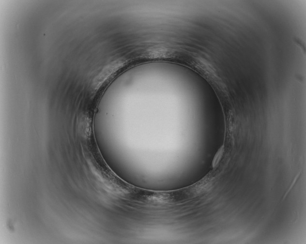 X0000102220164200808011210