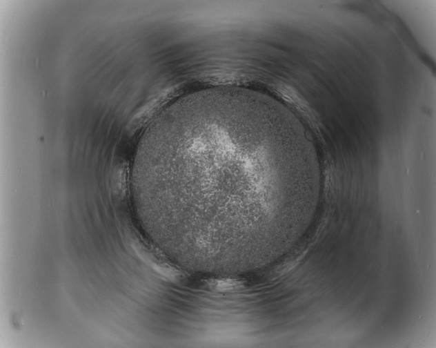 X0000102220165200808011210