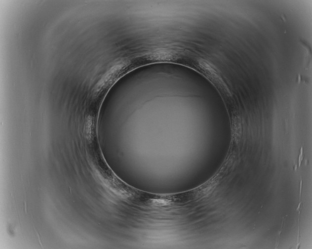 X0000102220167200808011210