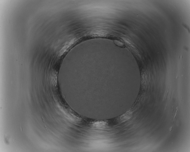 X0000102220168200808011210