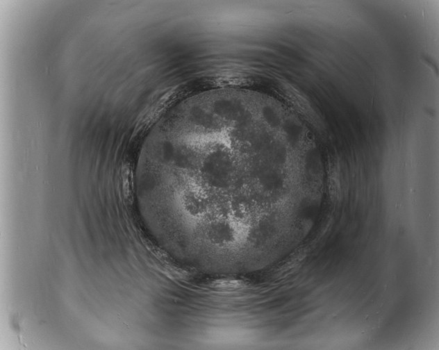 X0000102220169200808011210