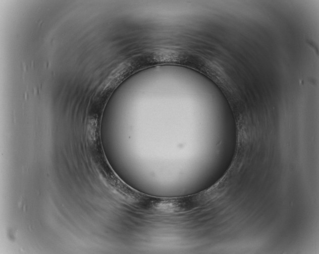 X0000102220171200808011211