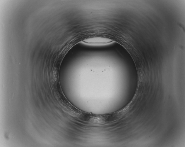 X0000102220174200808011211