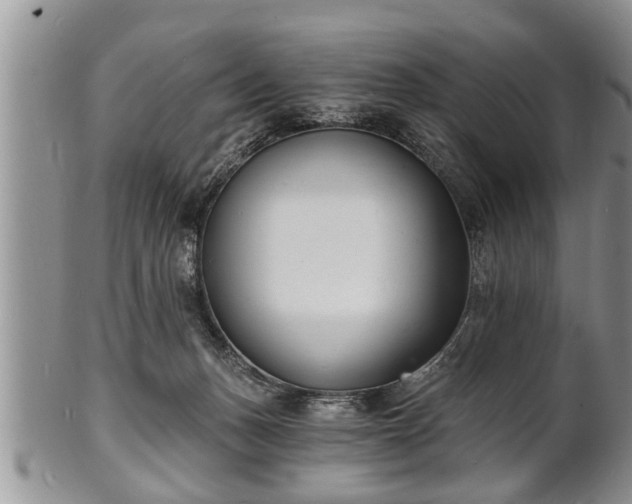 X0000102220175200808011211