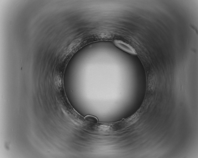 X0000102220176200808011211