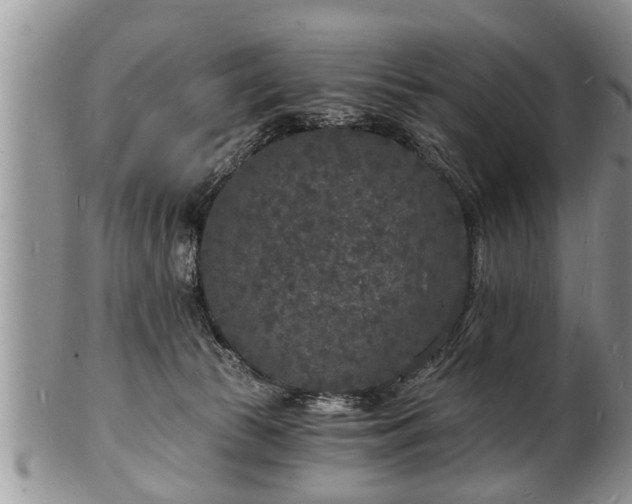 X0000102220177200808011211