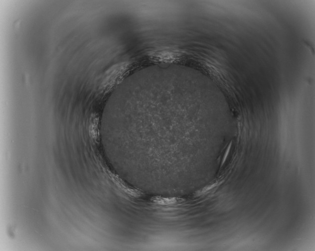 X0000102220181200808011211