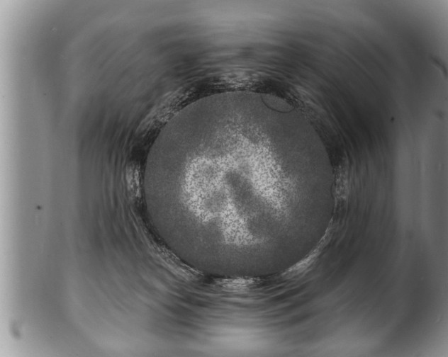 X0000102220182200808011211