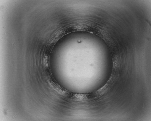 X0000102220187200808011211