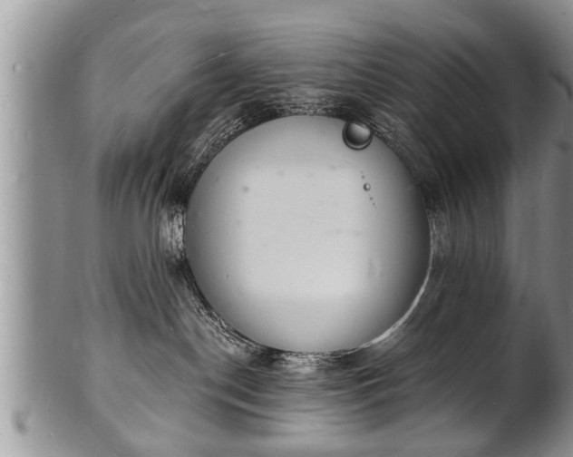 X0000102220190200808011211