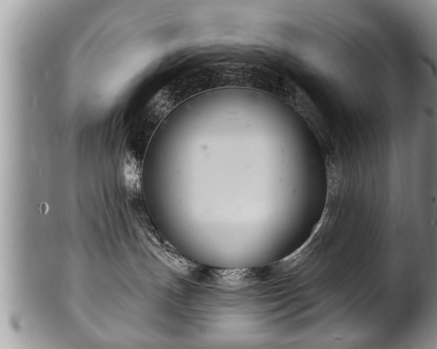 X0000102220191200808011211