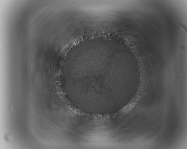 X0000102220192200808011211