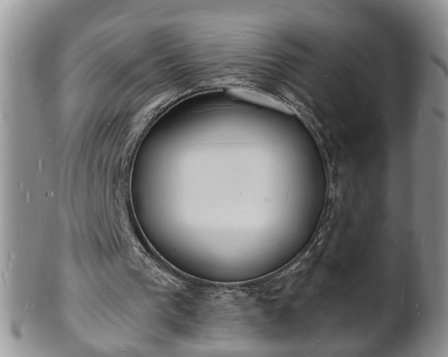 X0000102220193200808011210