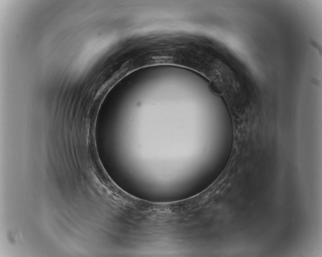 X0000102220194200808011210