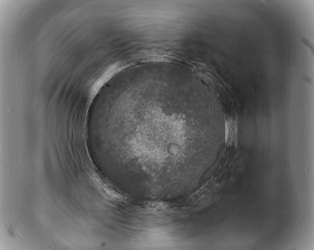 X0000102220195200808011210