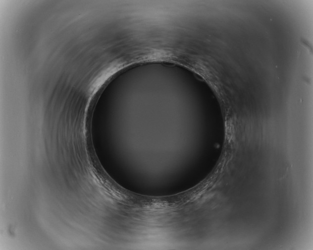 X0000102220196200808011210