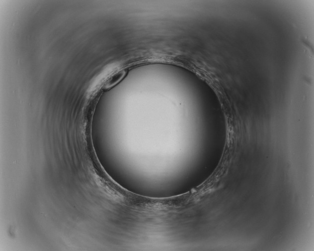 X0000102220197200808011210