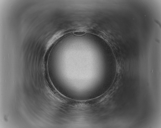 X0000102220198200808011210