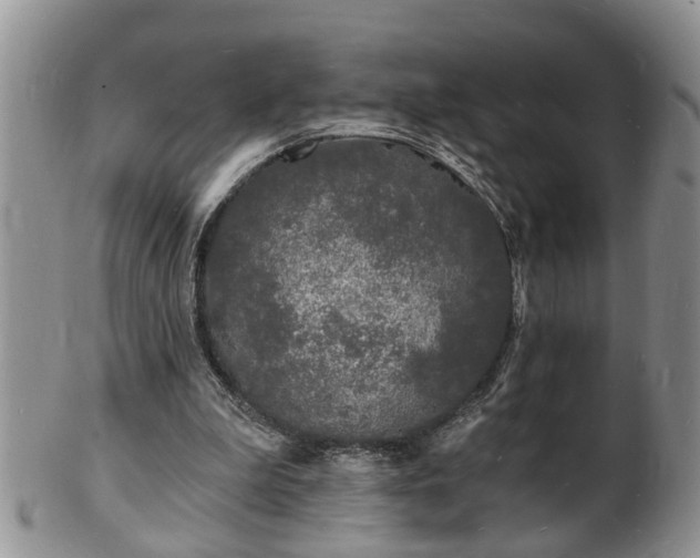 X0000102220199200808011210