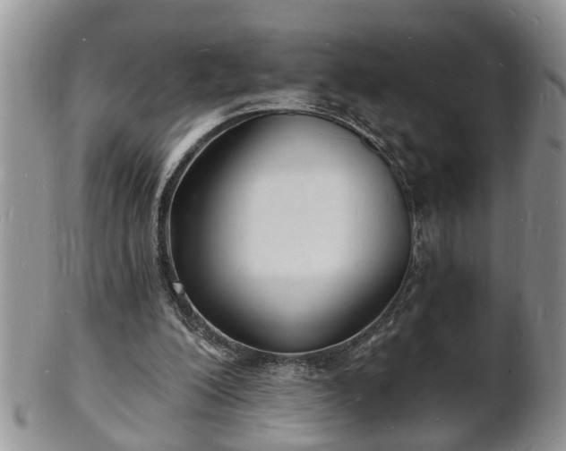 X0000102220200200808011210