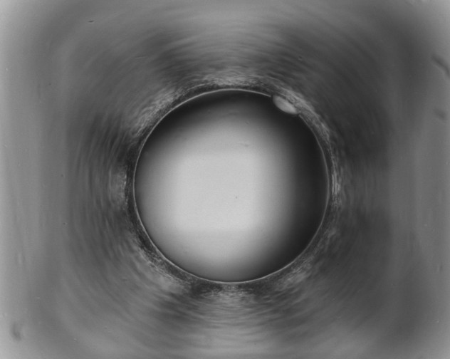 X0000102220201200808011210