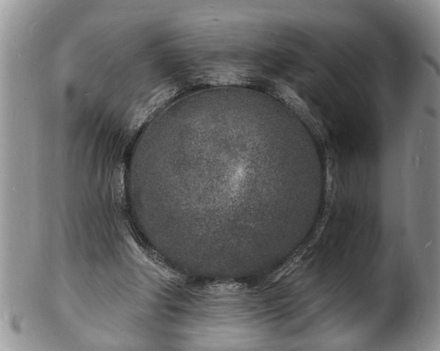 X0000102220202200808011210