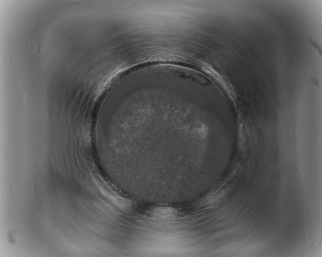 X0000102220203200808011210