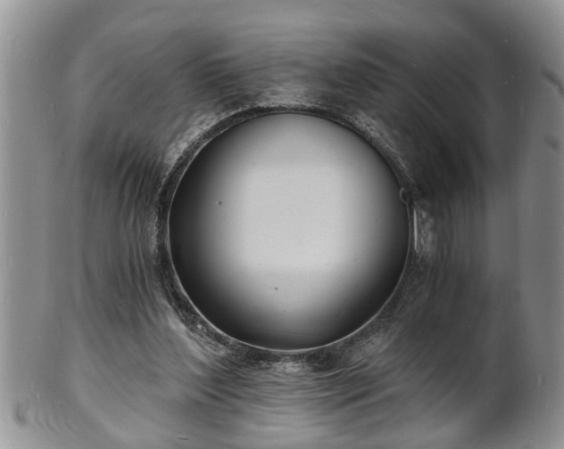 X0000102220204200808011210