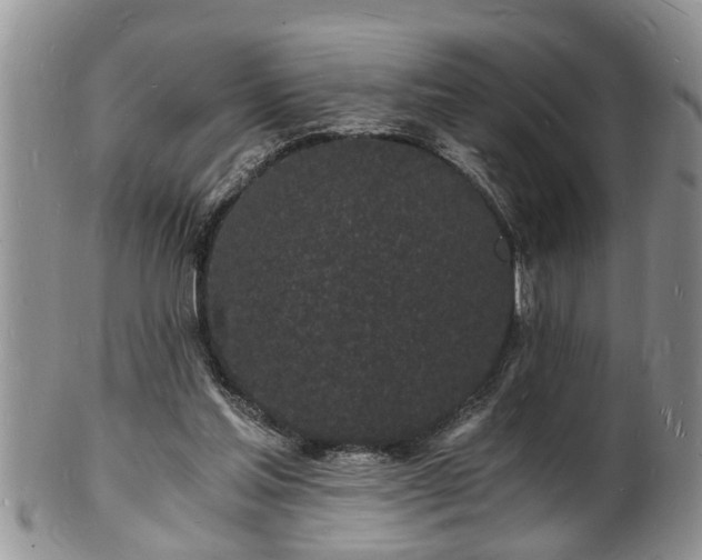 X0000102220205200808011210