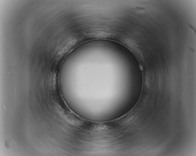 X0000102220206200808011210