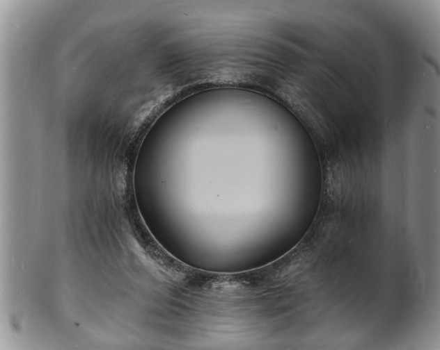 X0000102220208200808011210