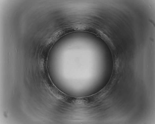 X0000102220209200808011210