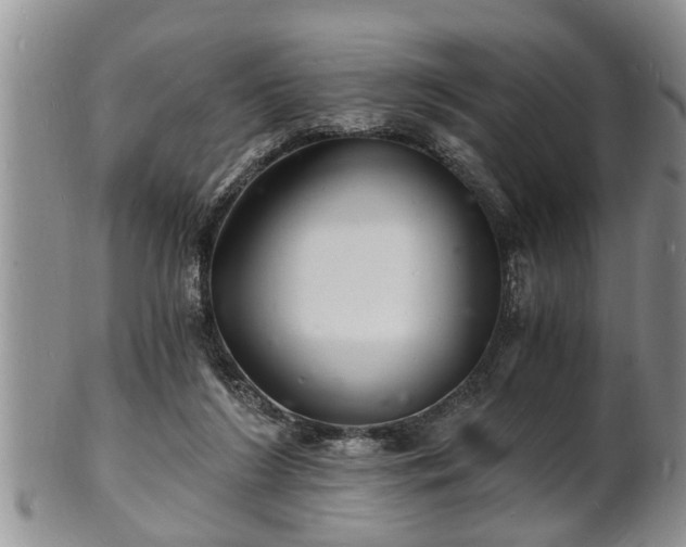 X0000102220212200808011210