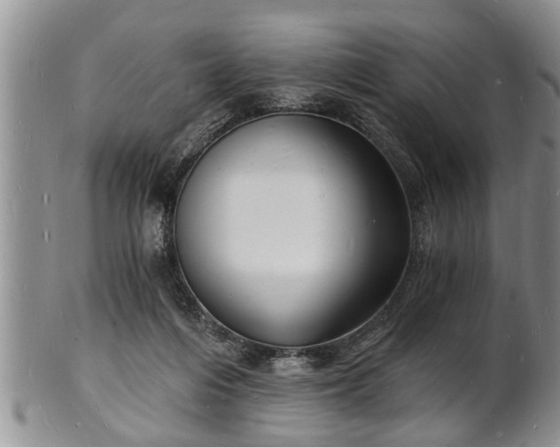 X0000102220216200808011210