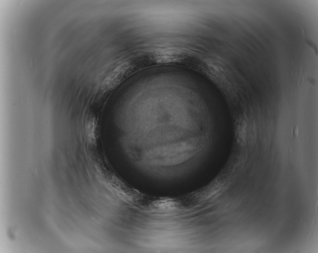 X0000102220219200808011210