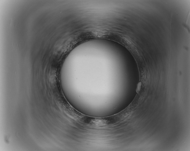 X0000102220221200808011210