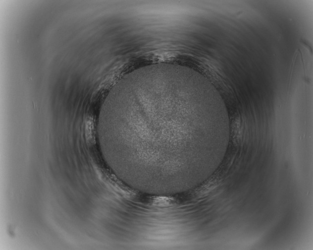 X0000102220222200808011210