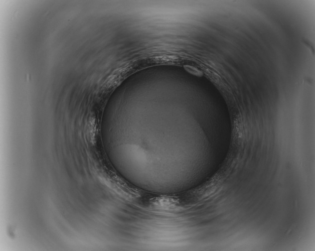 X0000102220223200808011210