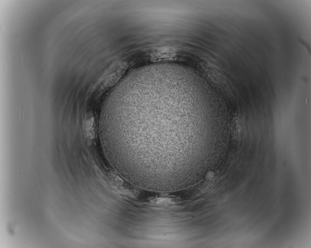 X0000102220224200808011210